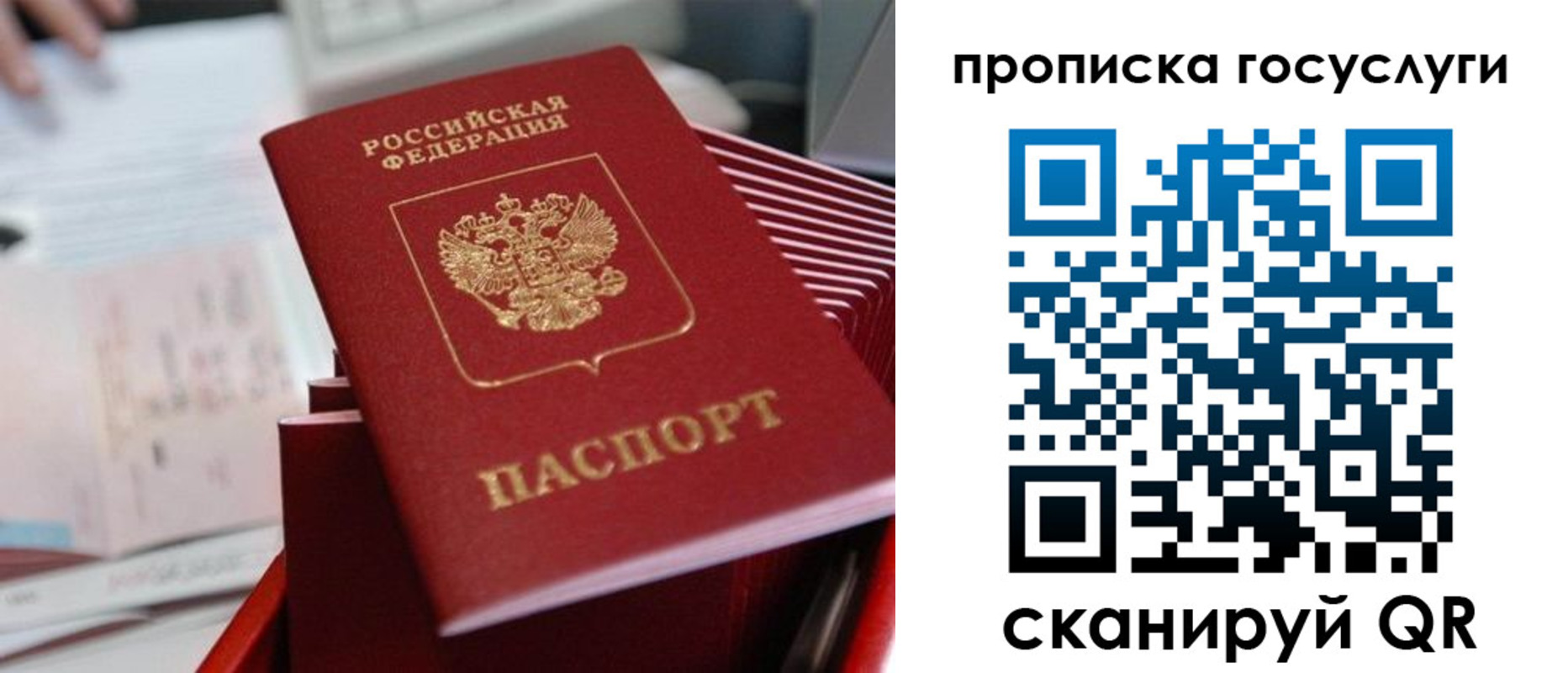 прописка законно в Новгородской области