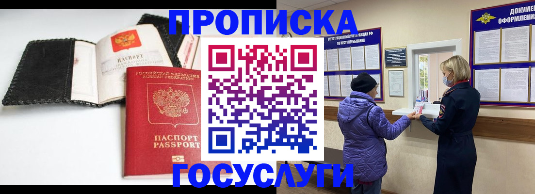 прописка штамп в Новгородской области